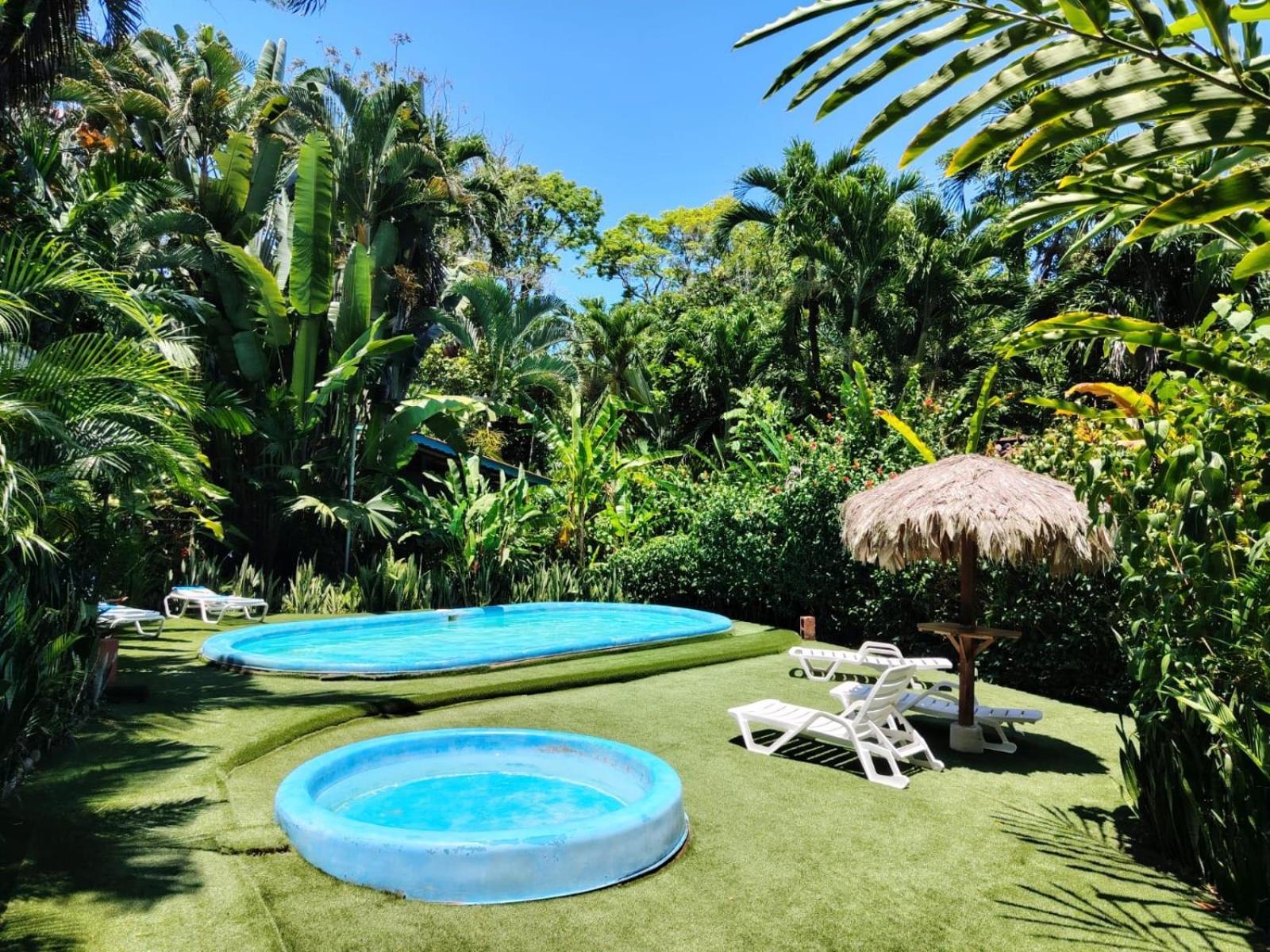 Luna Caribeña Village Puerto Viejo de Talamanca Exterior foto